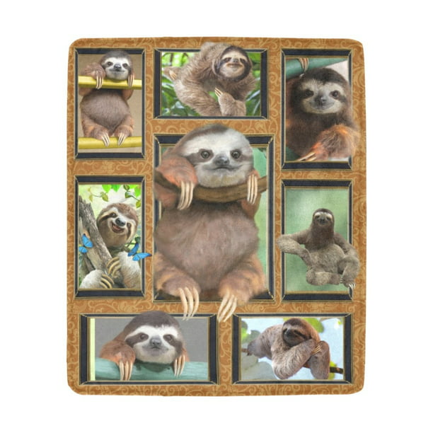 60 X 50 Sloth On The Tree Fleece Throw Blanket Cozy Soft Sherpa Blanket for Sofa Couch Bed 